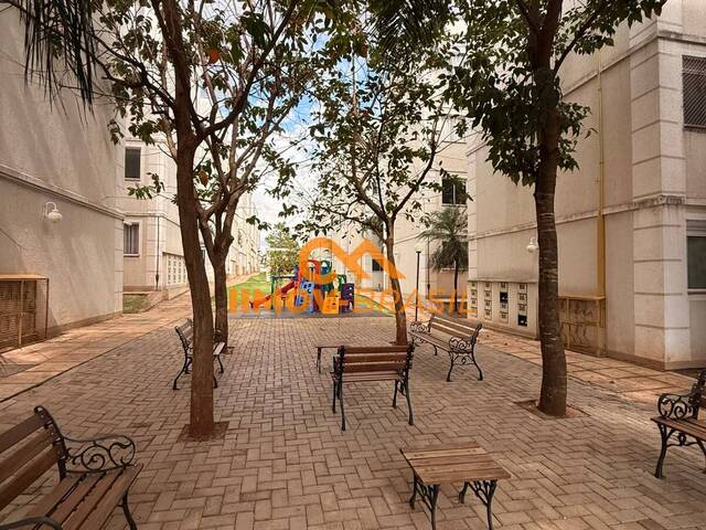 #379 - Apartamento para Locação em Campo Grande - MS - 3